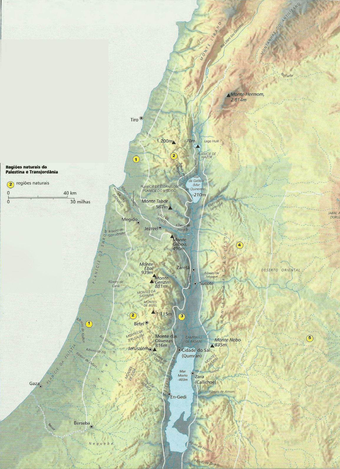Regiões naturais da Palestina e Transjordânia