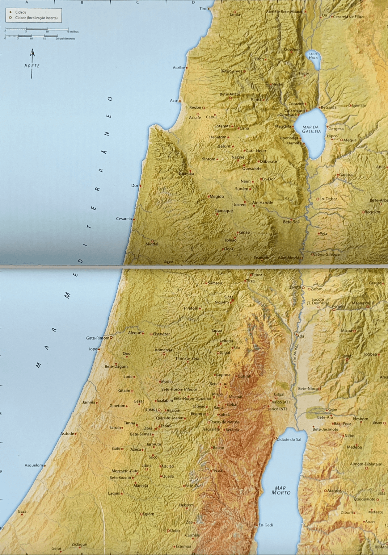 Principais cidades da Palestina